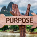 Finding Purpose and Fulfillment: The Journey to a Better Life