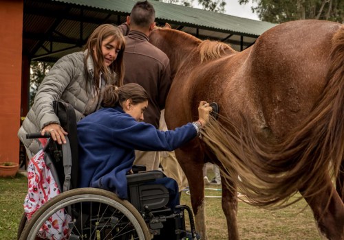 Exploring Equine Therapy: A Unique Approach to Healing